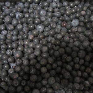 IQF Blueberries