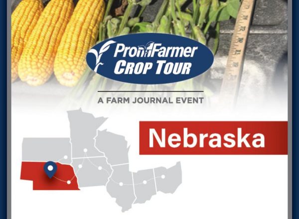 Crop Tour_AgWeb_Nebraska