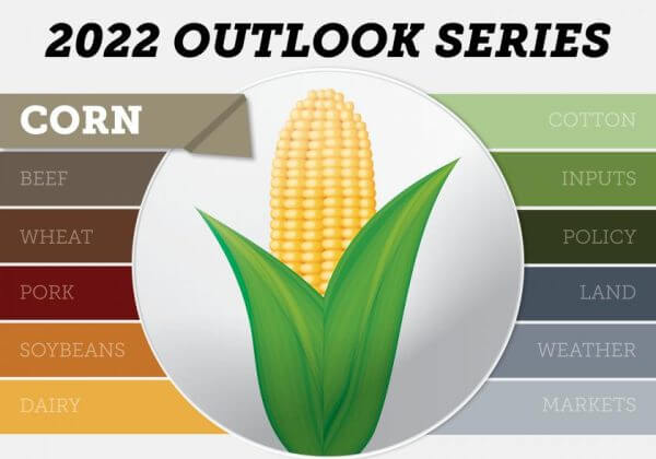 Outlook Series-Illustration-Corn