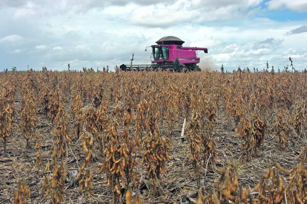 Dryness in South America is threatening Brazil’s soybean crop, which would support oilseed prices, including canola. This soybean crop was being harvested in Porto Nacional, Tocantins state, Brazil in a previous season. | Reuters/Roberto Samora photo