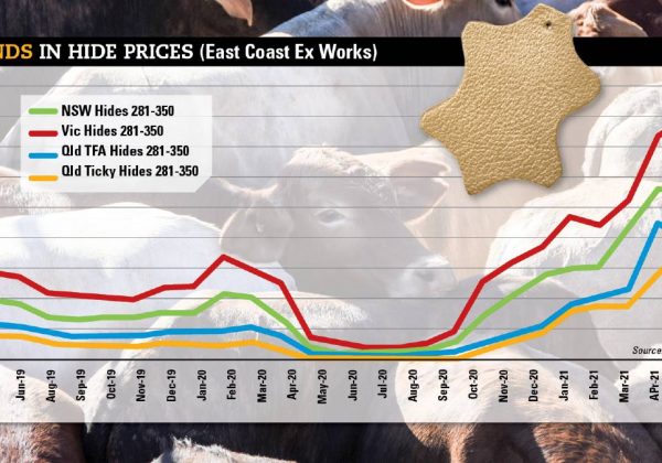 cattle shortage