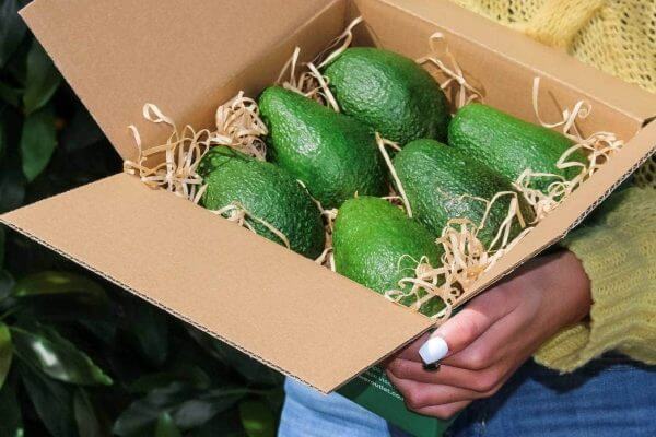 home delivery avocado
