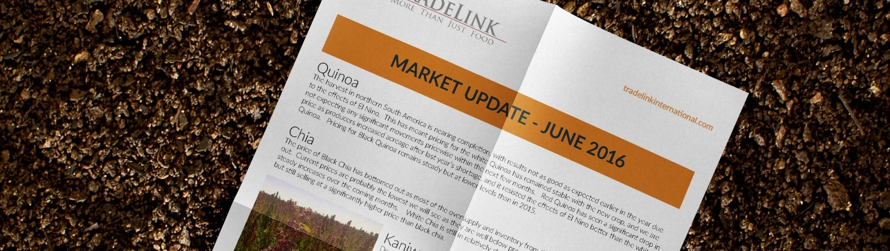 market-update-june-2016_lr