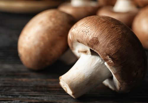 mushrooms-food-waste