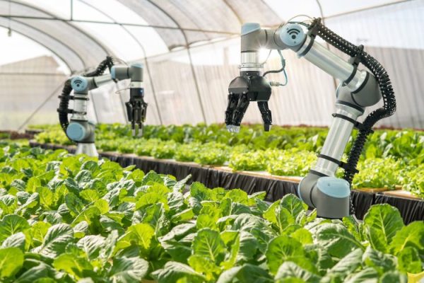 robotics agriculture