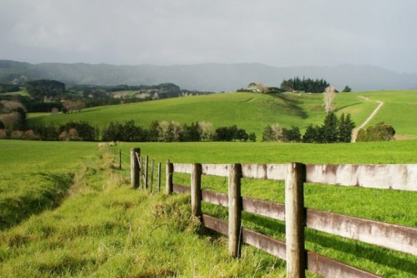 rural-landscape