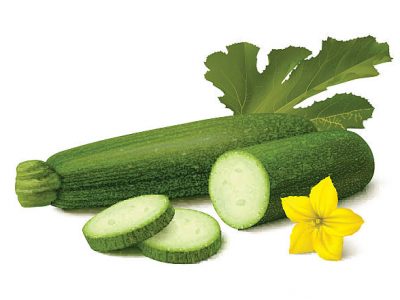 Green zucchini with slices, yellow flower and leaf. Isolated on white background. Vector illustration.